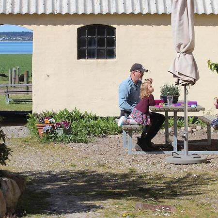 Stutteri Ahl Near Beach And Town Ebeltoft Eksteriør billede
