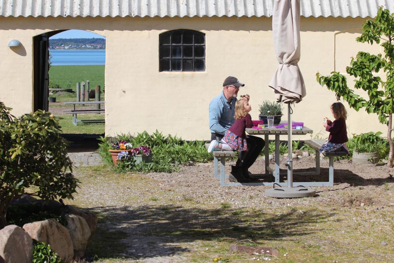 Stutteri Ahl Near Beach And Town Ebeltoft Eksteriør billede
