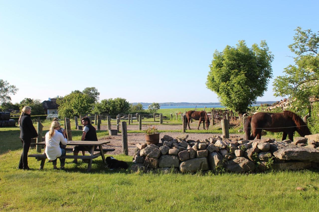 Stutteri Ahl Near Beach And Town Ebeltoft Eksteriør billede