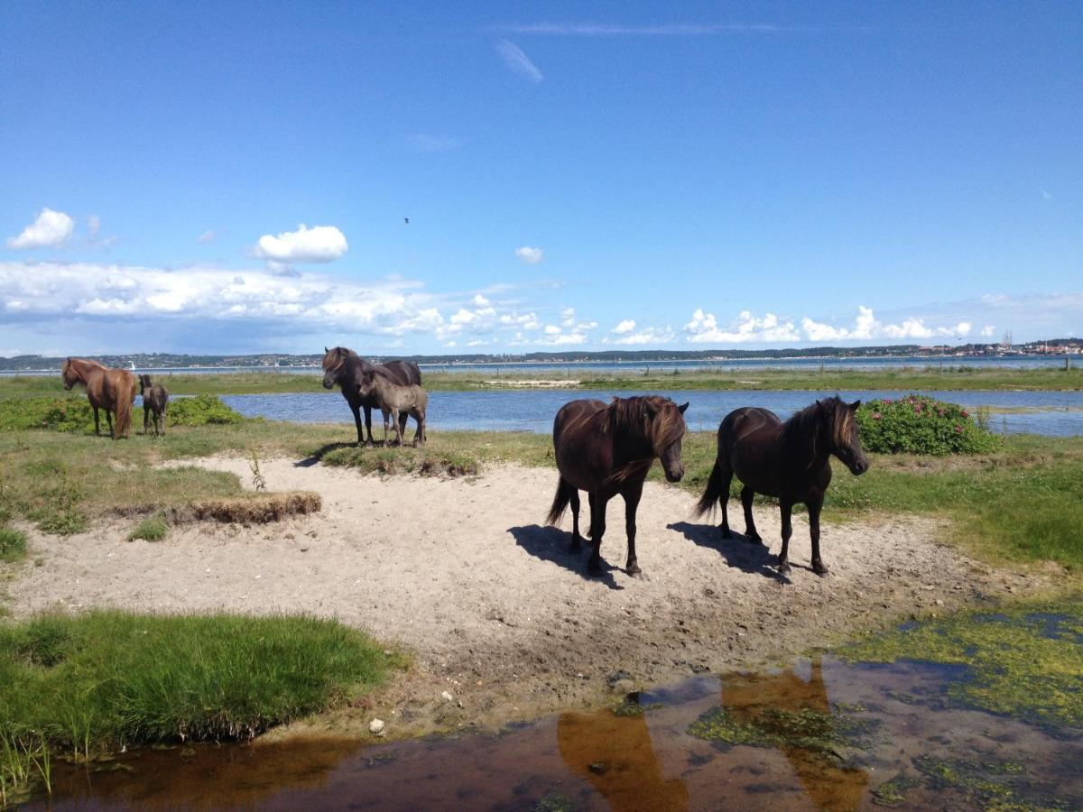 Stutteri Ahl Near Beach And Town Ebeltoft Eksteriør billede