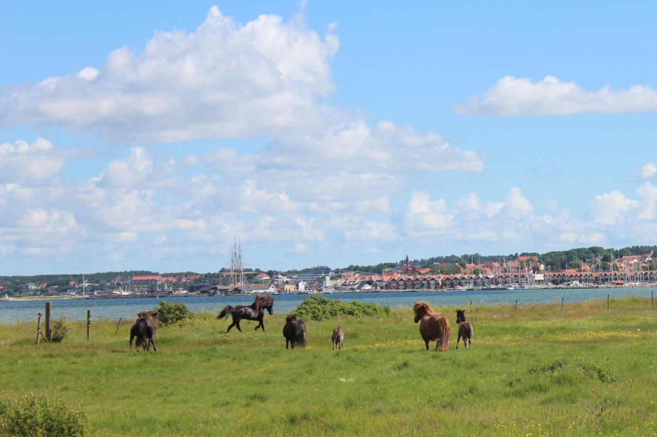 Stutteri Ahl Near Beach And Town Ebeltoft Eksteriør billede